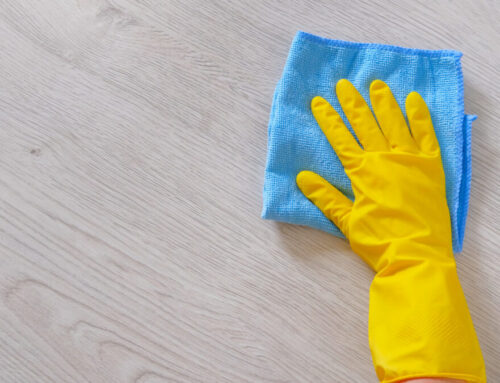 The Art of Deep Cleaning in Charlotte: A Comprehensive Guide